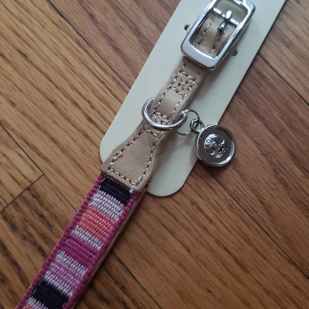 Bond & Co. Sorbet Striped Dog Collar-Small